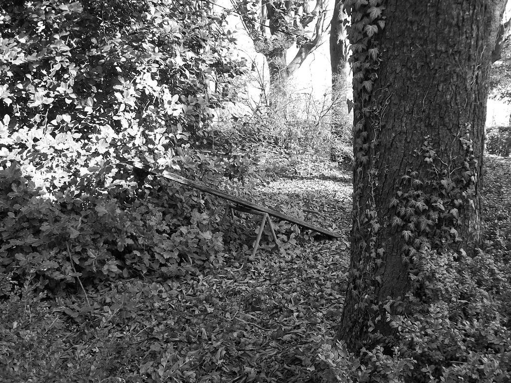 Tenuta San Rocco Conzano